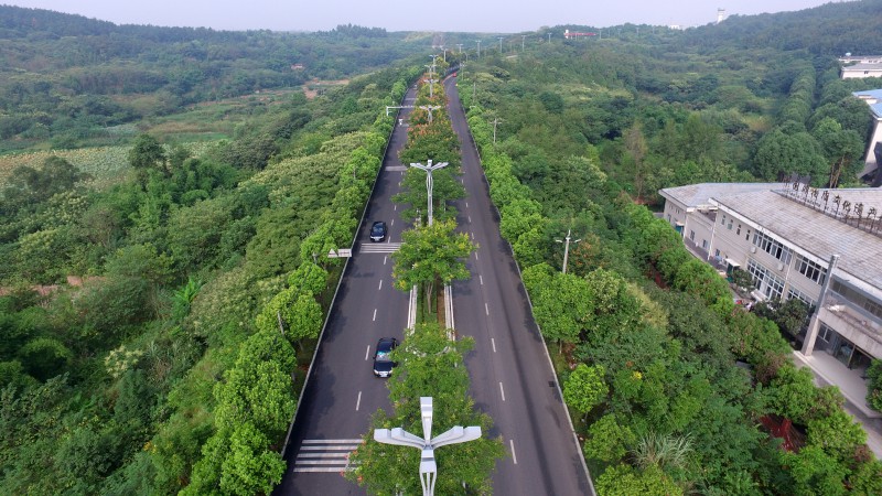 綿陽機場路改造提升(黑化)工程